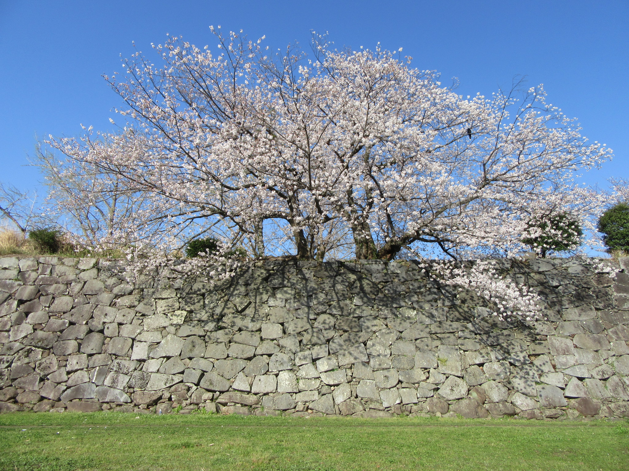 福岡城 fukuoka_castleの画像
