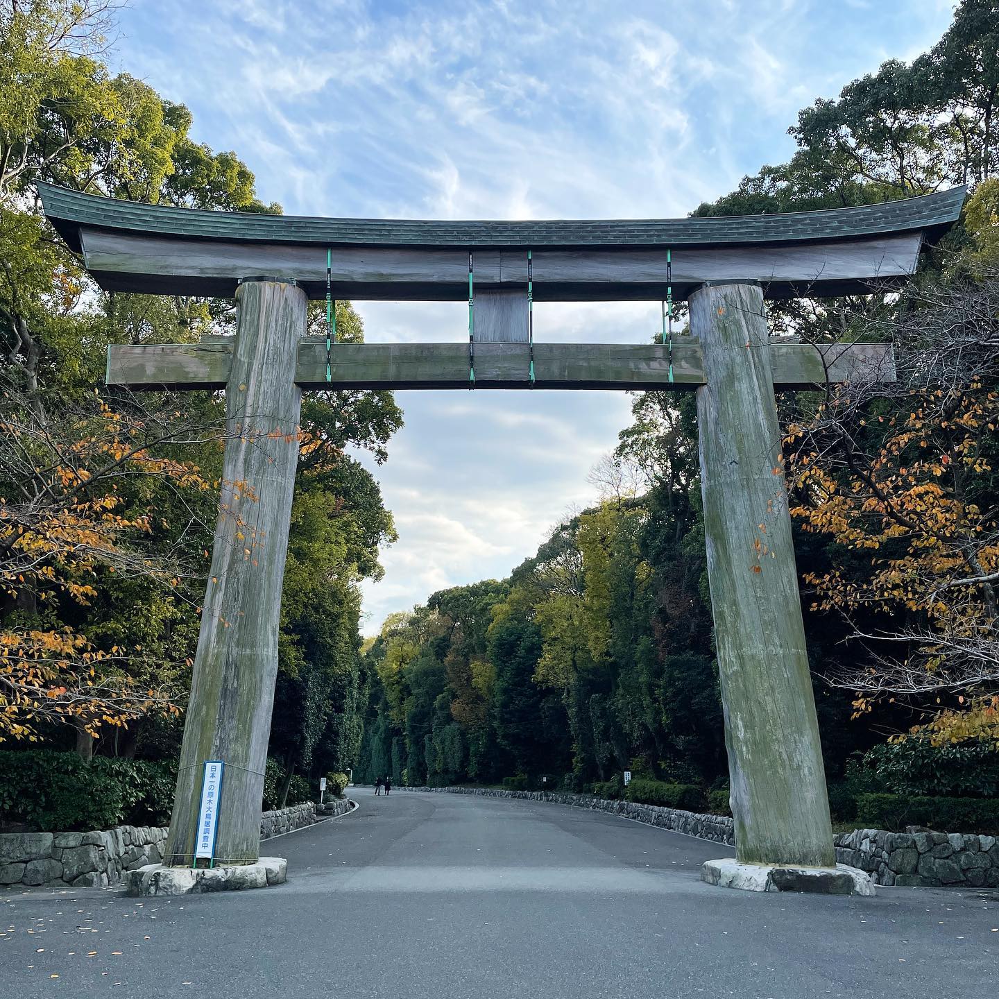 【公式】Fukuoka 360°の画像
