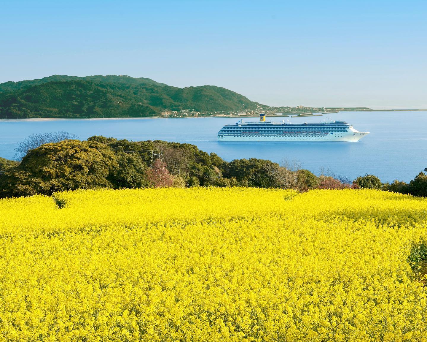 【公式】Fukuoka 360°の画像