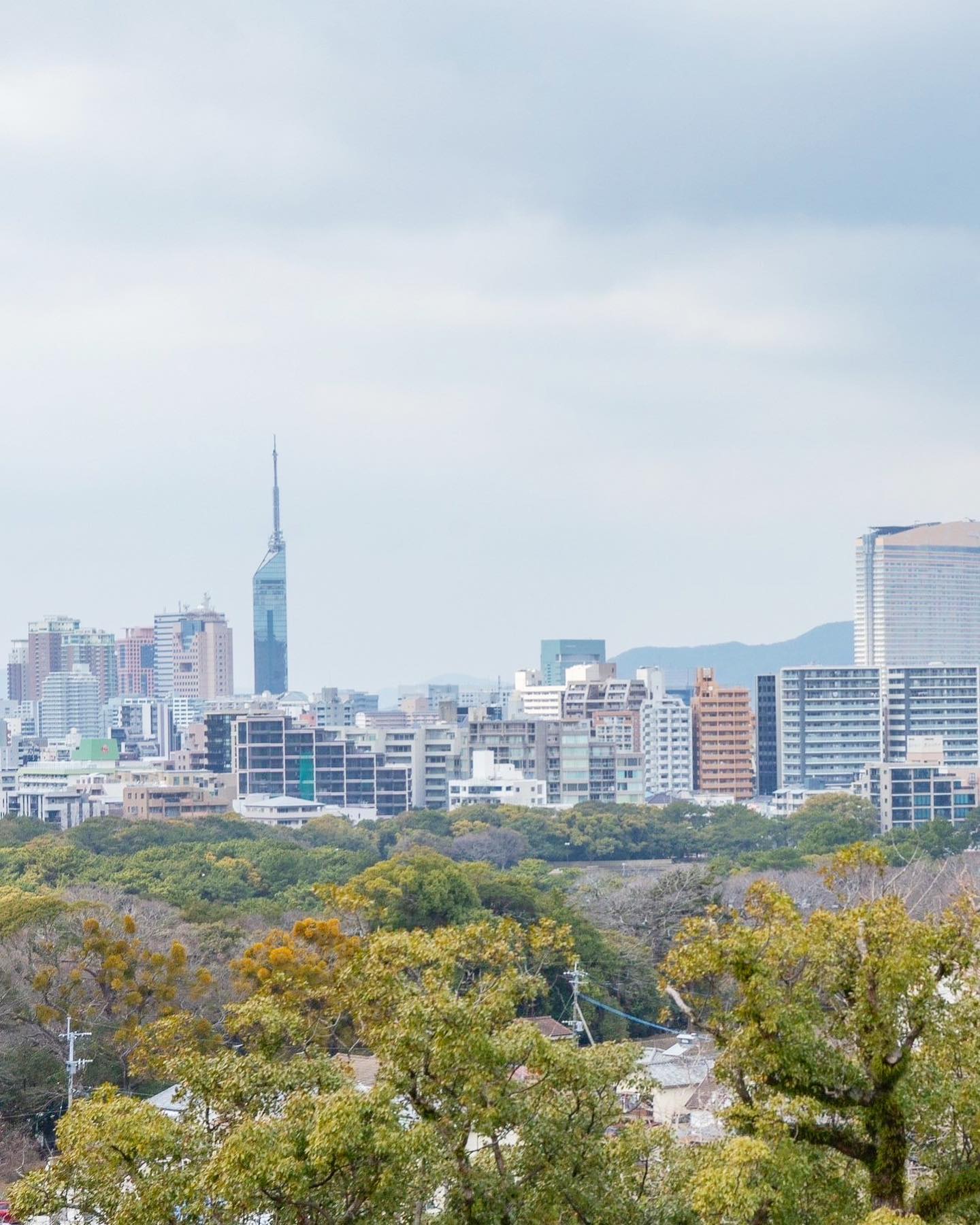 【公式】Fukuoka 360°の画像
