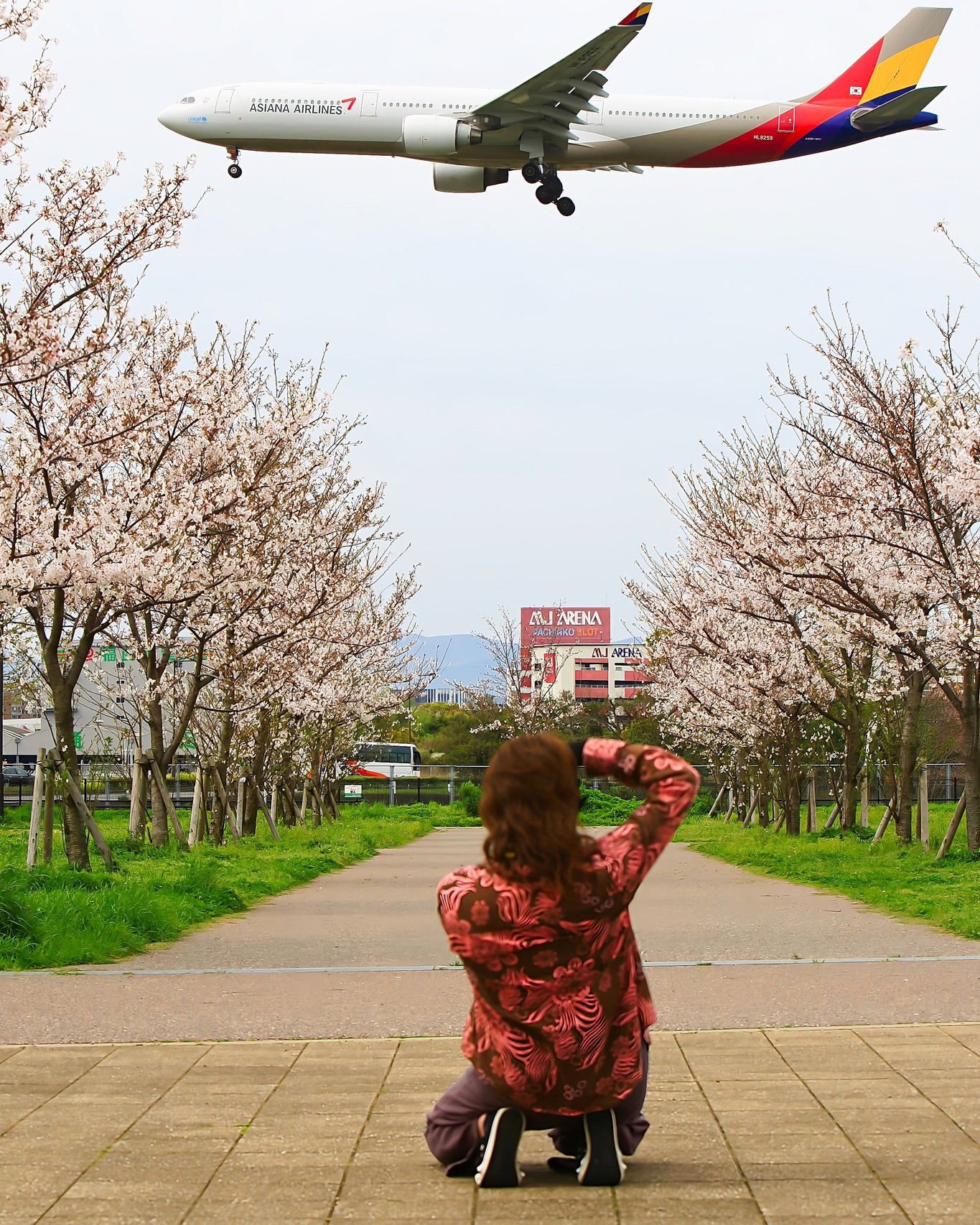 【公式】博多の魅力の画像