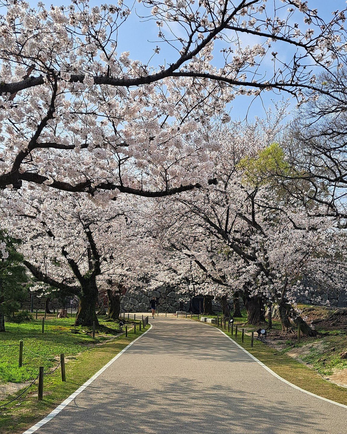 福岡城 fukuoka_castleの画像
