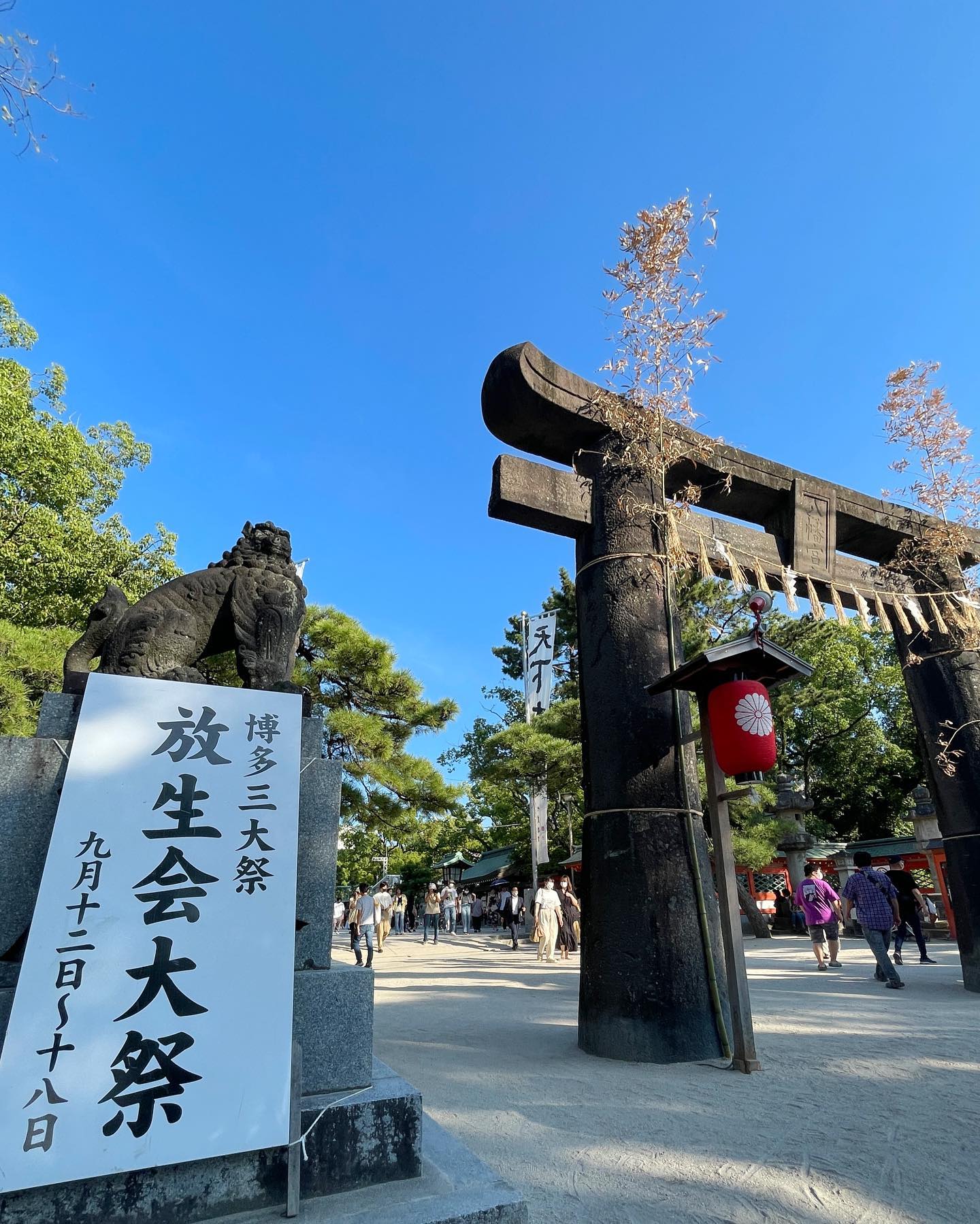 【公式】Fukuoka 360°の画像